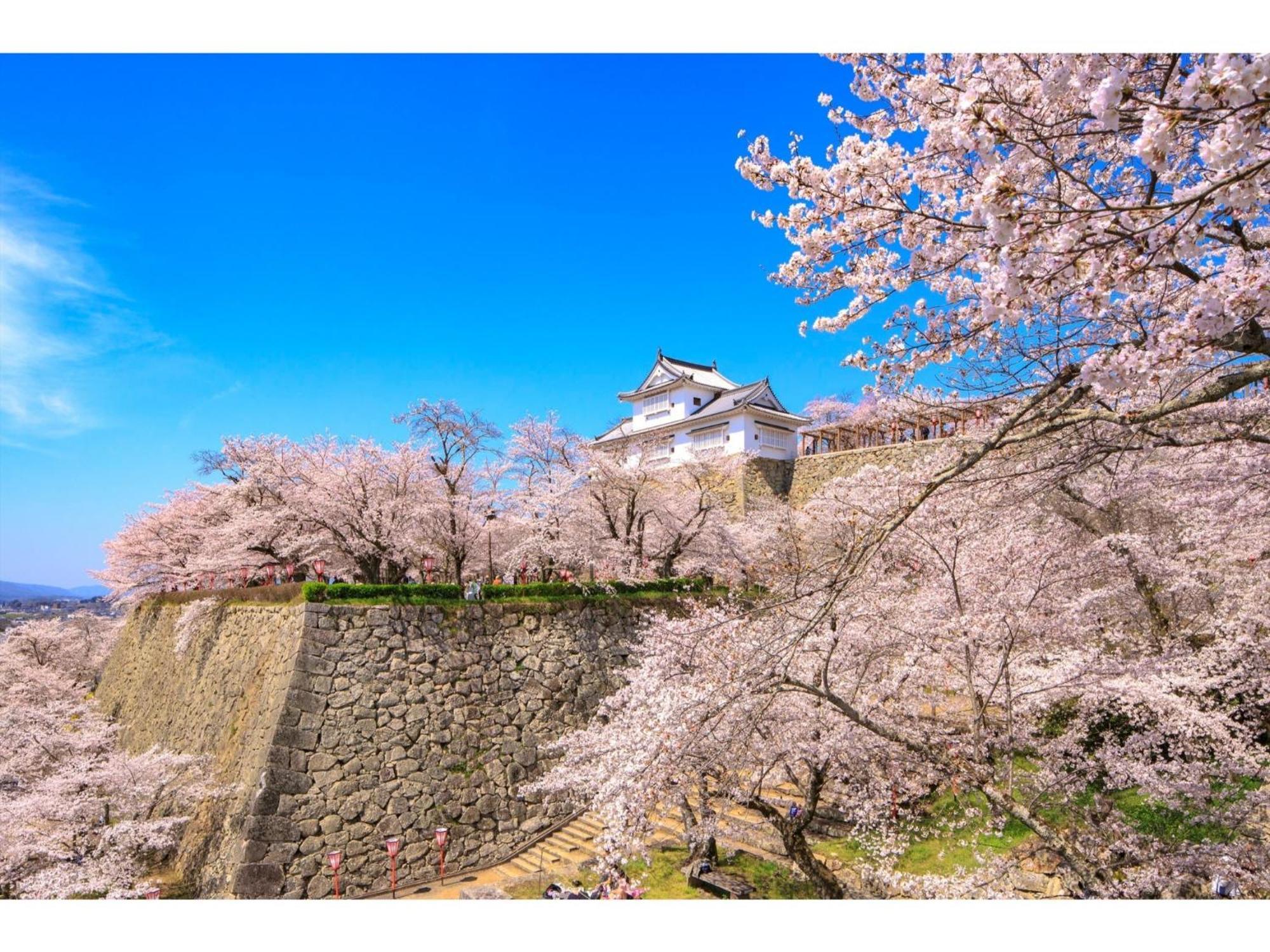 Tsuyama Kakuzan Hotel - Vacation Stay 75701V Bagian luar foto